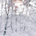 Obrázek epizody HOROSKOPY: Štíři, Luna je ve vašem znamení, jste sexy a láska vám přeje