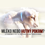 Obrázek epizody Mléko nebo hutný pokrm? - Bohuslav Wojnar (18.4.2021)