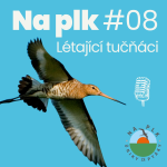 Obrázek epizody Na plk #08: Jak ztloustnout a nezbláznit se z toho