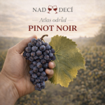 Obrázek epizody Nad Decí 19: Atlas odrůd - Pinot noir