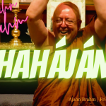 Obrázek epizody Hahájána | Ajahn Brahm | 2007-2021