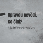 Obrázek epizody Opravdu nevědí, co činí? - Petr Vaďura