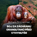 Obrázek epizody Orangutani mohou zmizet. Co se skutečně děje na Borneu a Sumatře | Richard Zimmerman
