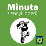 Obrázek epizody Koloběžka