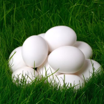 Obrázek epizody Zelený čtvrtek: den, kdy zvony odlétají do Říma