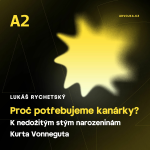 Obrázek epizody Lukáš Rychetský: Proč potřebujeme kanárky?