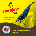 Obrázek epizody Akvaristika: Chov sladkovodných kreviet