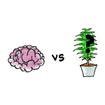Obrázek epizody Smarty Plants