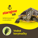 Obrázek epizody Teraristika: Vodné korytnačky