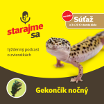 Obrázek epizody Teraristika: Gekončík nočný