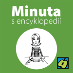 Obrázek epizody Dieta