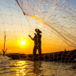 Obrázek epizody Pojď za mnou