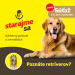 Obrázek epizody Psy: Poznáte retríverov?