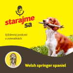 Obrázek epizody Psy: Welsh springer spaniel