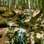Obrázek epizody Trasa z Rokytnice nad Jizerou k Huťskému vodopádu je procházkou do útrob Krkonoš