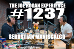 Obrázek epizody #1237 - Sebastian Maniscalco