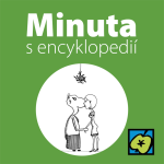 Obrázek epizody Jmelí