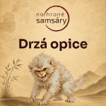 Obrázek epizody 10. Drzá opice