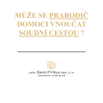 Obrázek epizody 30: Může se prarodič domoci vnoučat soudní cestou?