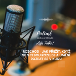 Obrázek epizody # 17 Rozchod - jak přežít, když se s tebou rozejde a umění rozejít se v klidu
