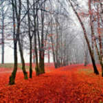 Obrázek epizody HOROSKOPY: Vodnáři, pod patronací Jupitera si užijete i milostná dobrodružství