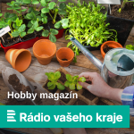 Obrázek epizody Od poloviny června mohou rybáři lovit i dravce. Nástraha simuluje živou rybku
