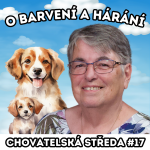 Obrázek epizody 🐩 O barvení a hárání 🐩 | Chovatelská středa #17