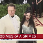 Obrázek epizody Rozchod Muska a Grimes