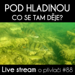 Obrázek epizody Přívlač Live #88 - Štiky, okouni, boleni a úhoři pod hladinou, útoky dravců na kořist!