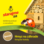 Obrázek epizody Špeciál: Hmyz na záhrade - hmyzie hotely