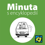 Obrázek epizody Autobus