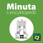 Obrázek epizody Varhany