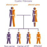 Obrázek epizody (KardioPodcast #7) Cystická fibróza pro náročné