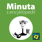 Obrázek epizody Spejbl a Hurvínek