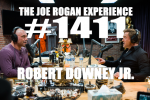 Obrázek epizody #1411 - Robert Downey Jr.