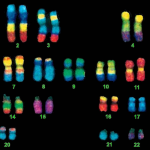 Obrázek epizody #77 — The Moral Complexity of Genetics