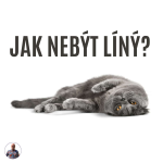 Obrázek epizody Jak nebýt líný? (Proč je lenost silnější než touha)