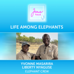 Obrázek epizody EN 21 Life Among Elephants 🐘 Discover the Beauty, Wisdom & Emotions of Africa’s Giants