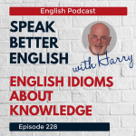 Obrázek epizody Speak Better English with Harry | Episode 228