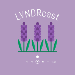 Obrázek epizody LVNDRcast #1 Story o lavendru, CR7 a prezidentské volby
