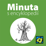 Obrázek epizody Novinářská kachna