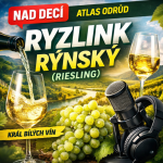 Obrázek epizody Nad Decí 32: Atlas odrůd - Riesling