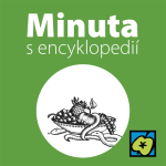 Obrázek epizody Génius