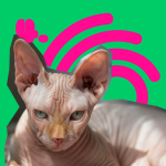 Obrázek epizody Lesby a stereotypy: Kočky, mužatky a nenávist k chlapům?