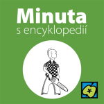 Obrázek epizody Pila