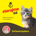 Obrázek epizody Mačky: Dočasná opatera
