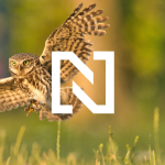 Obrázek epizody Proč z české krajiny mizí ptáci