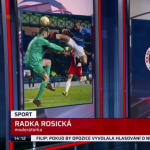 Obrázek epizody UEFA rozhodla o trestu pro Roofa
