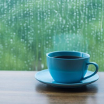 Obrázek epizody Rainy Day Coffee Shop Ambience | Rain Sounds & Cafe Atmosphere
