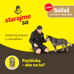 Obrázek epizody Psy: Pozitívka - ako na to?